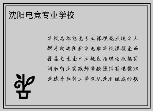 沈阳电竞专业学校